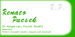renato pucsek business card